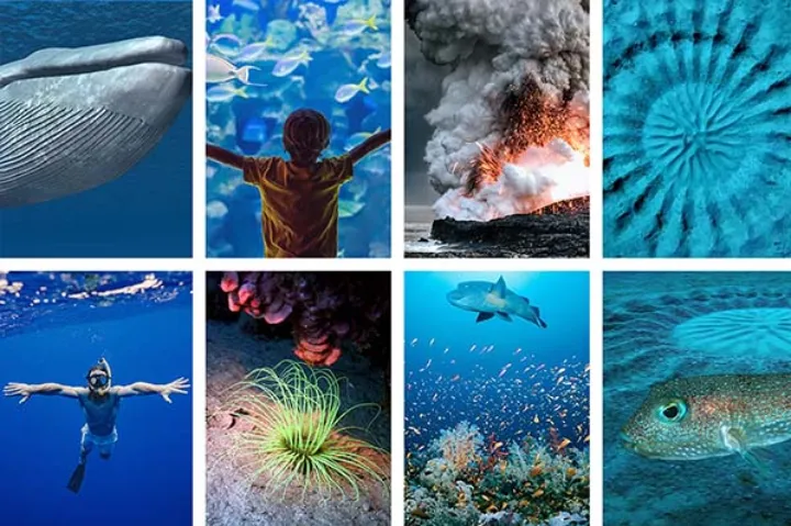 دست روی دل اقیانوس نگذارید که آتشفشان است!